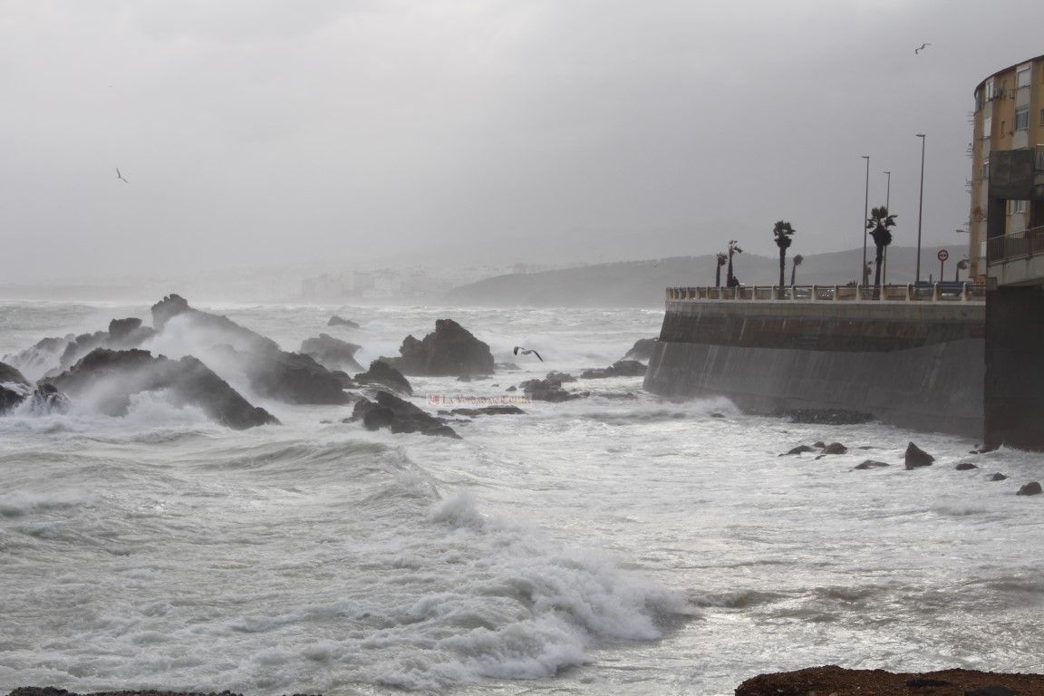 Hallan otro inmigrante muerto en el mar, esta vez en Juan XXIII